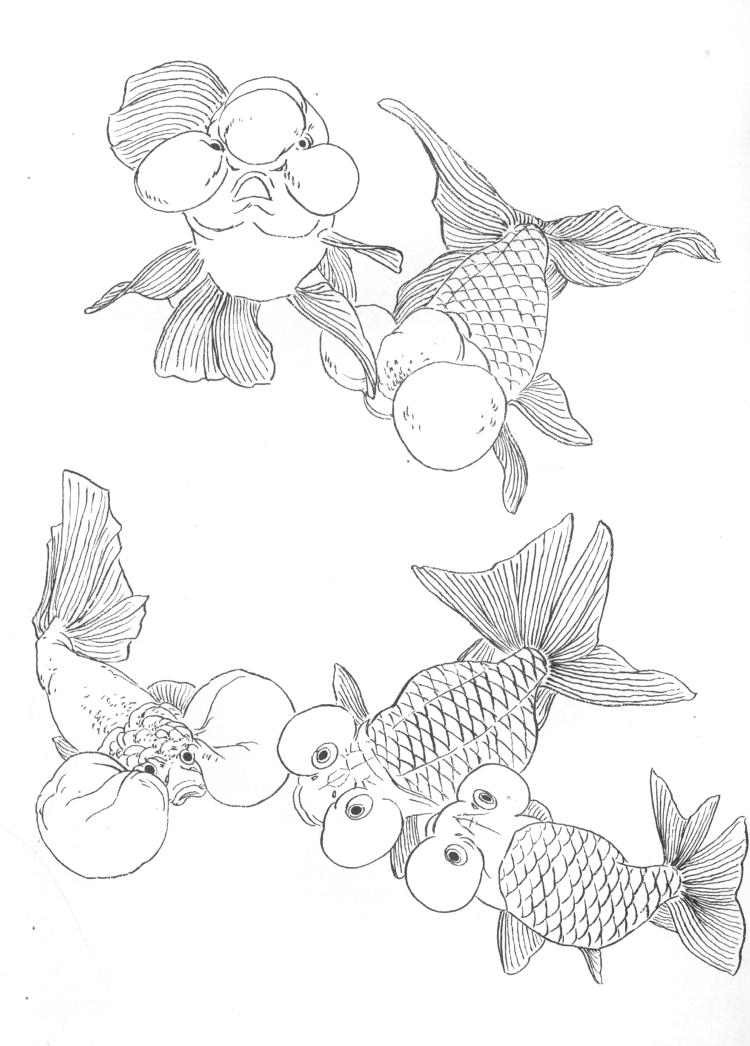 金鱼白描线稿资料,尽管拿走