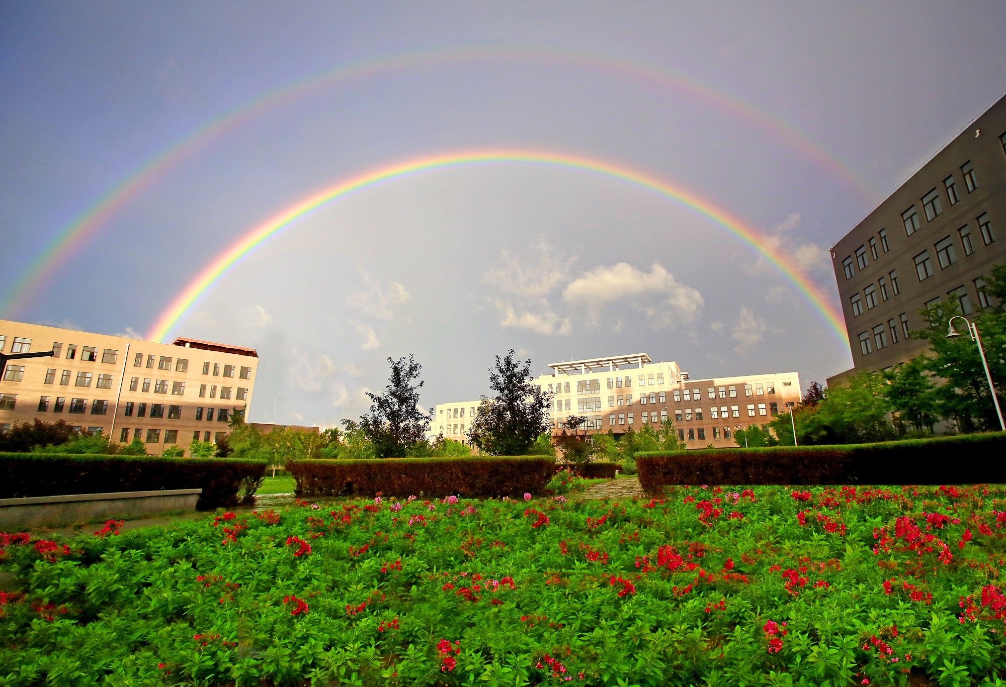 辽宁科技学院：漫步校园处处景