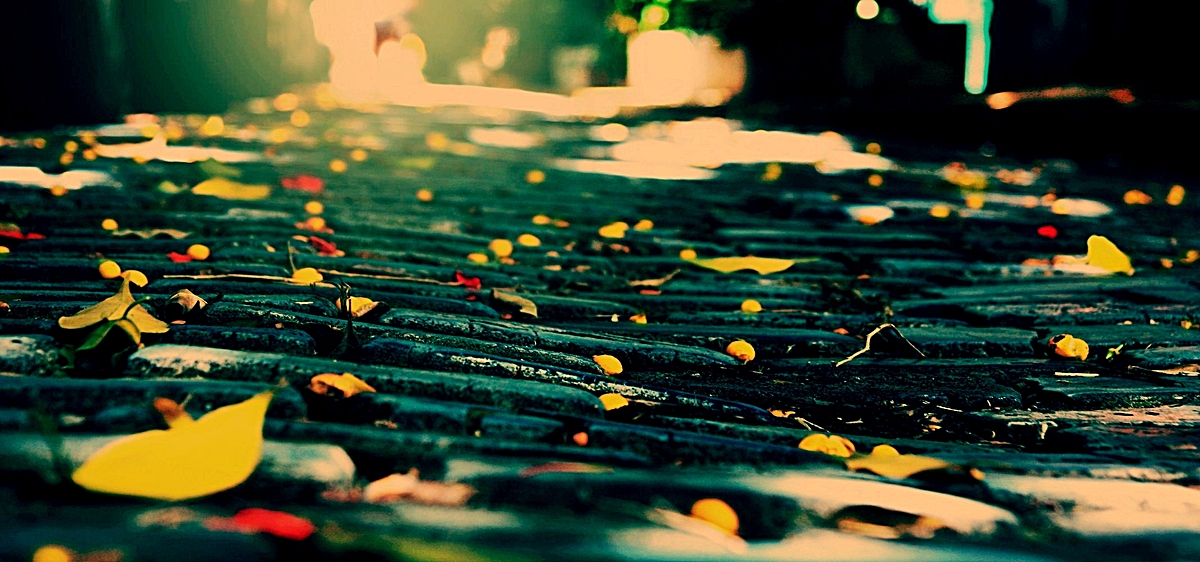 散文：在最美的清秋，感悟一叶人生