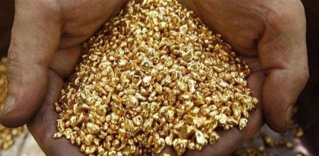 市场价沙金多少钱一克(广西) - 价格百科