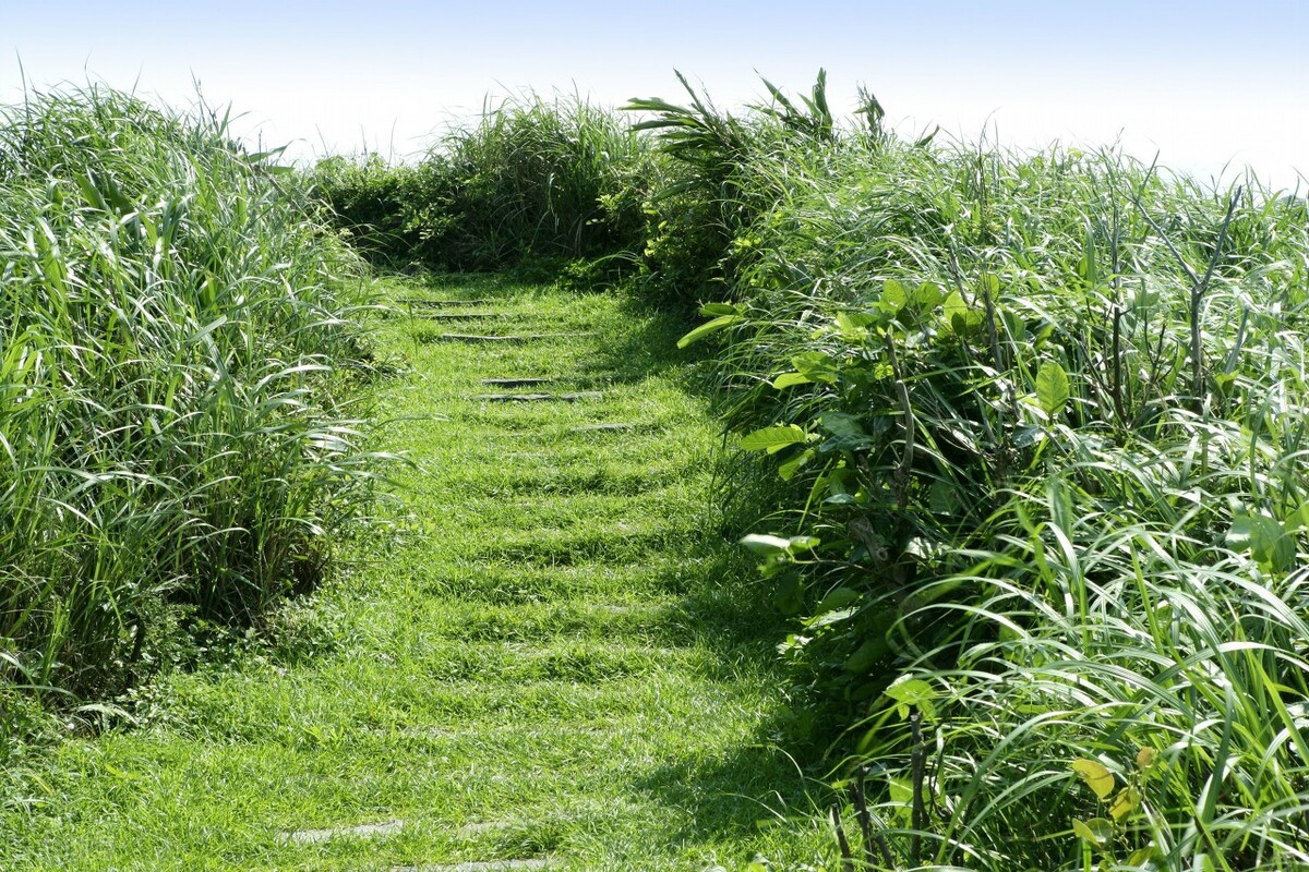 书写潦草，一评三评皆45，高考满分作文《青春逝去，青春不朽》