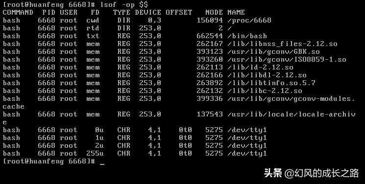 Linux操作系统一切皆文件