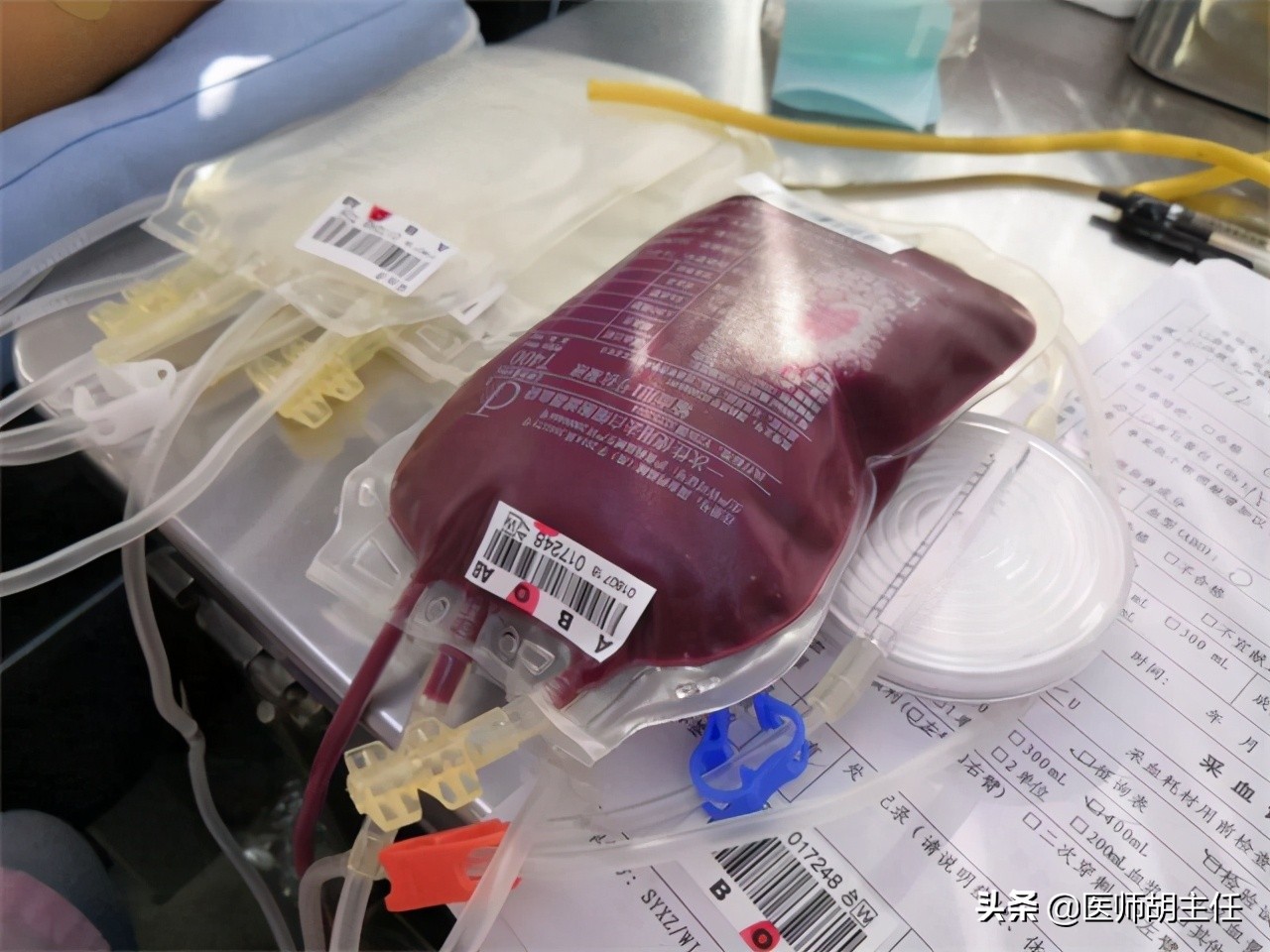 脾,肺,胆等内脏中,因此即使是献血200cc,400cc,是不会让机体血液循坏