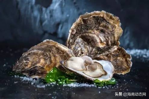 海魚圖片大全,海魚圖片大全及名稱