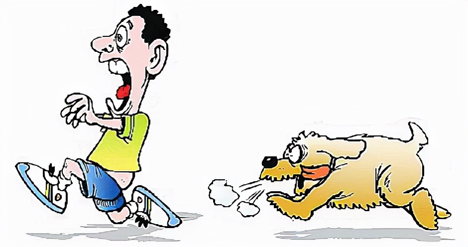 2022年狗咬人赔偿标准新规定是什么？狗咬人派出所怎么处理？