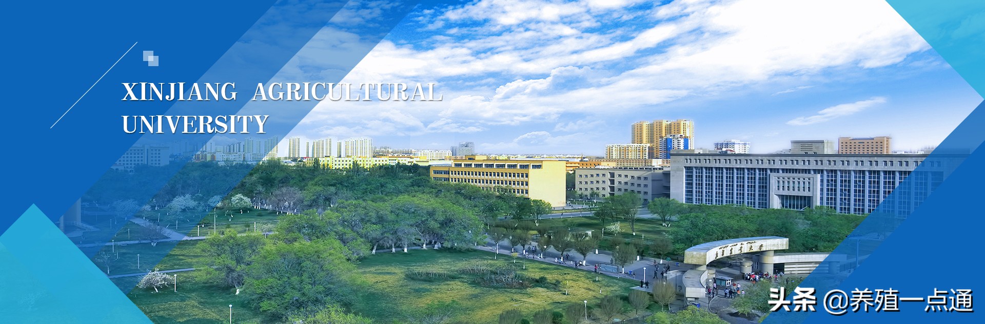 决肯·阿尼瓦什（哈萨克族），新疆农业大学教授，遗传育种专家