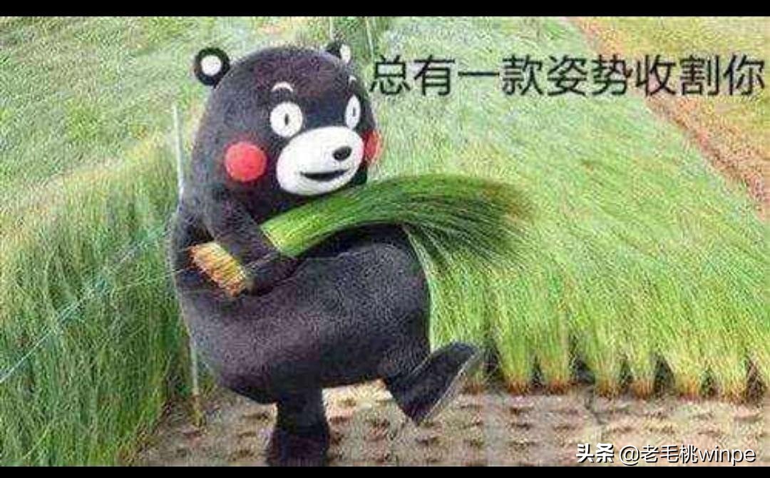 一“卡”难求？显卡价格暴涨！揭秘挖矿为什么离不开显卡？