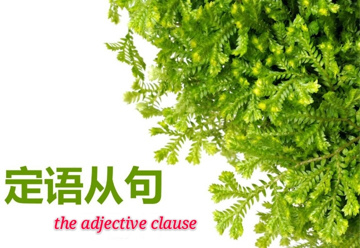 定语从句用法完全总结：详解关系词选择与句子结构