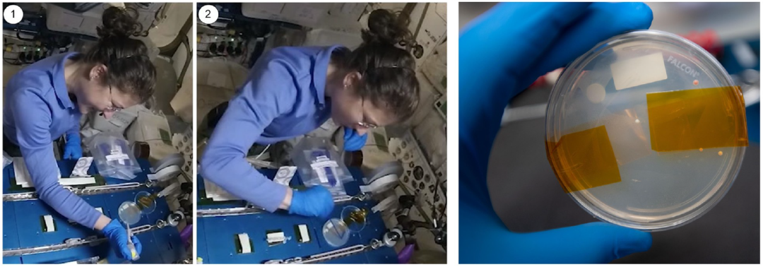 「每日看点」最新全球排名：中科院全球第一，兰州大学进步明显