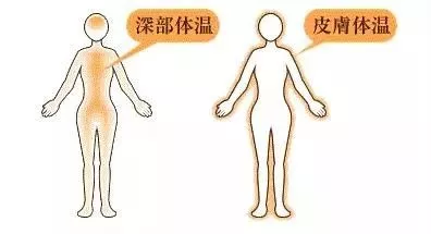 夏天睡羽绒被,是真爱还是伤害