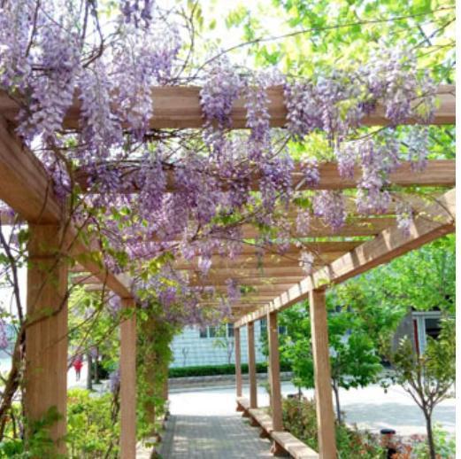 2020高考山东聊城有2人进省前50，10人达685分，他们来自哪些学校