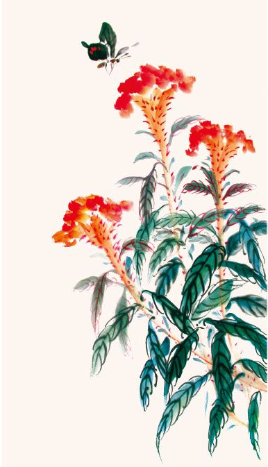 草本花卉技法鸡冠花作品秋意盎然的创作步骤画友美
