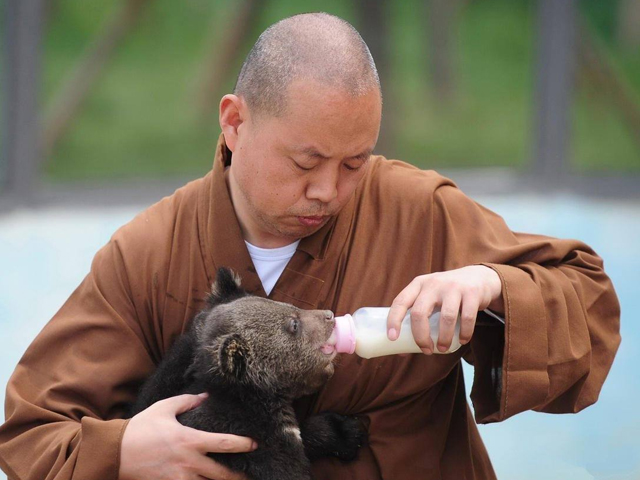 延参法师的名言，告诉了我们最应该学会相处的人，不是有钱的人