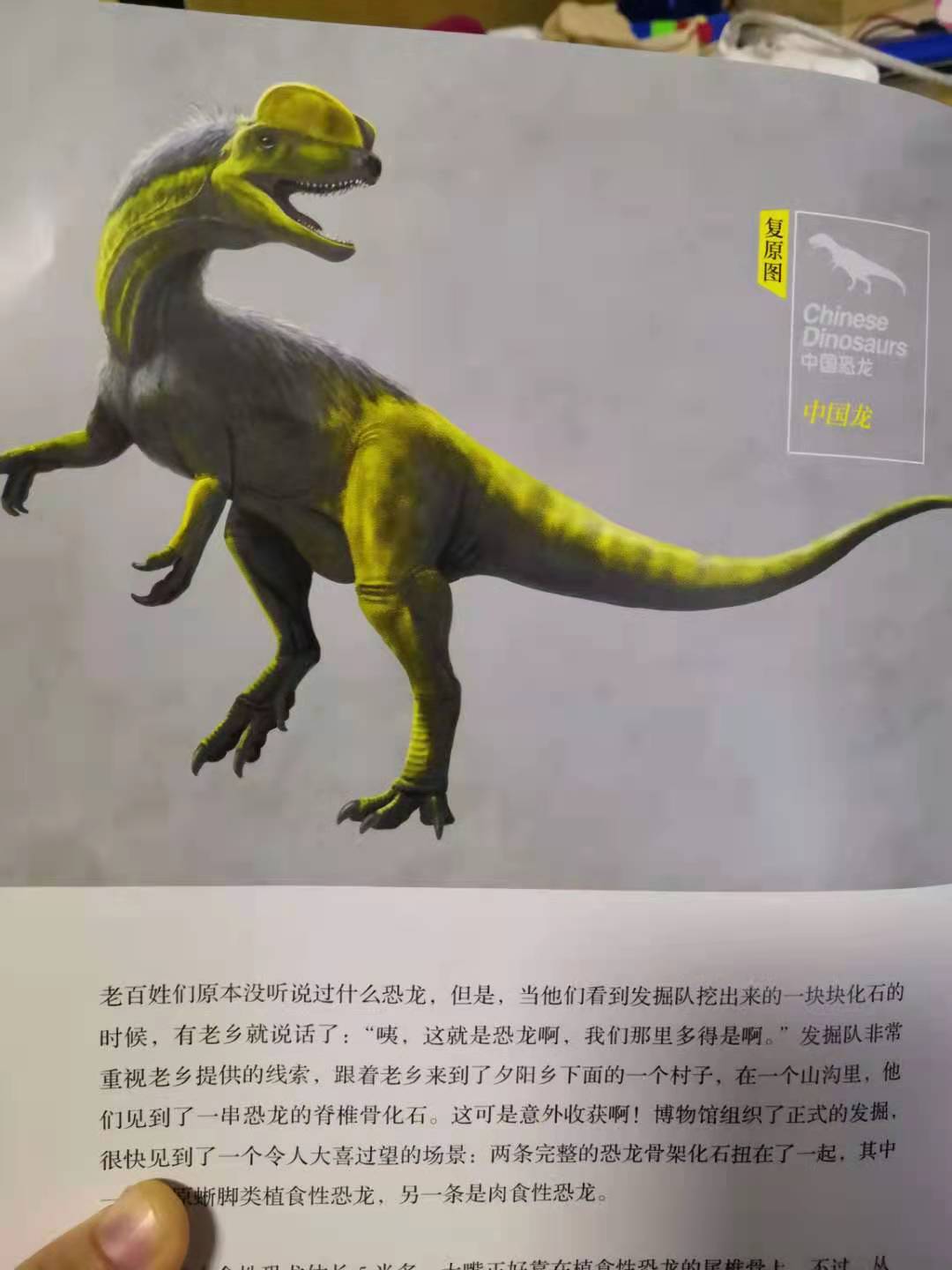 灭绝的古生物中为什么恐龙会备受关注？中国的恐龙到底有多少种？