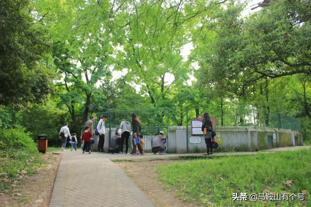 马鞍山人，别忘了动物园！这里曾是我们的全部！