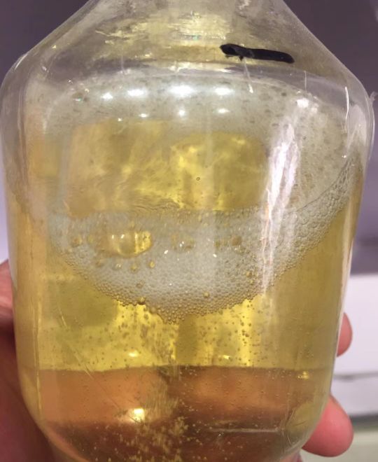 八十年代东北名酒——"北大仓"赏析