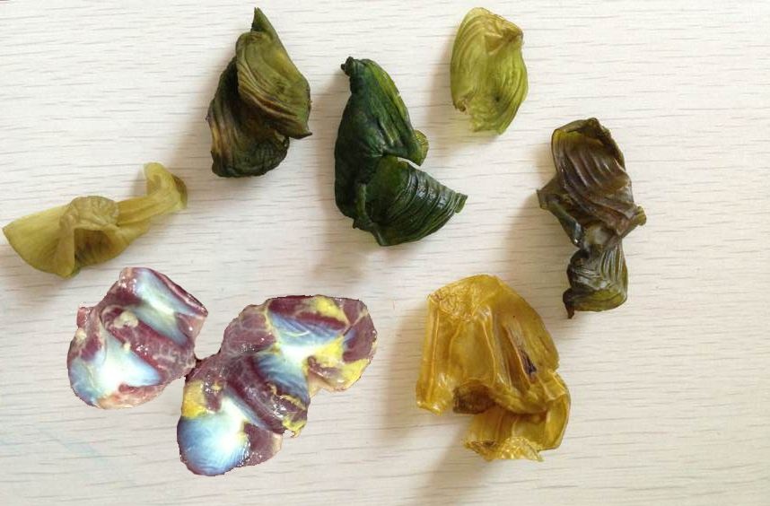 什么是"鸡内金"呢?