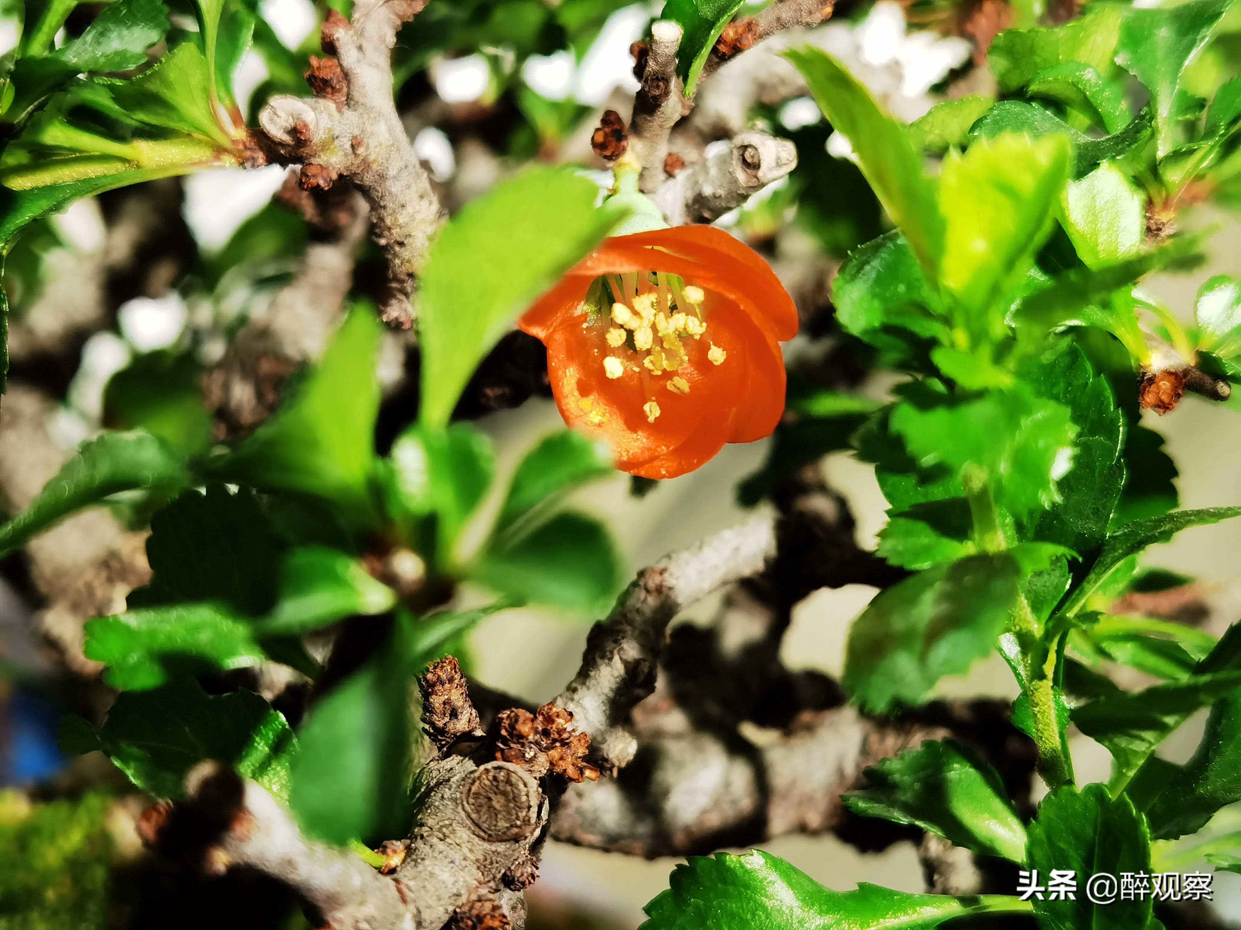 「天天正能量」适量饮酒才是理性饮酒的最高境界