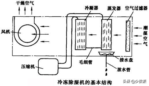 什么是相对湿度？你家的湿度适合吗？ 最新资讯 第12张