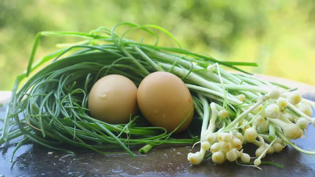 野葱(野蒜,野藠头)