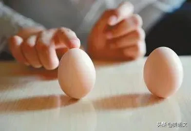 怎样让一个鸡蛋立起来作文300字(小学优秀满分范文)-小学作文-电子课本网 怎样让一个鸡蛋立起来作文300字(小学优秀满分范文)-小学作文