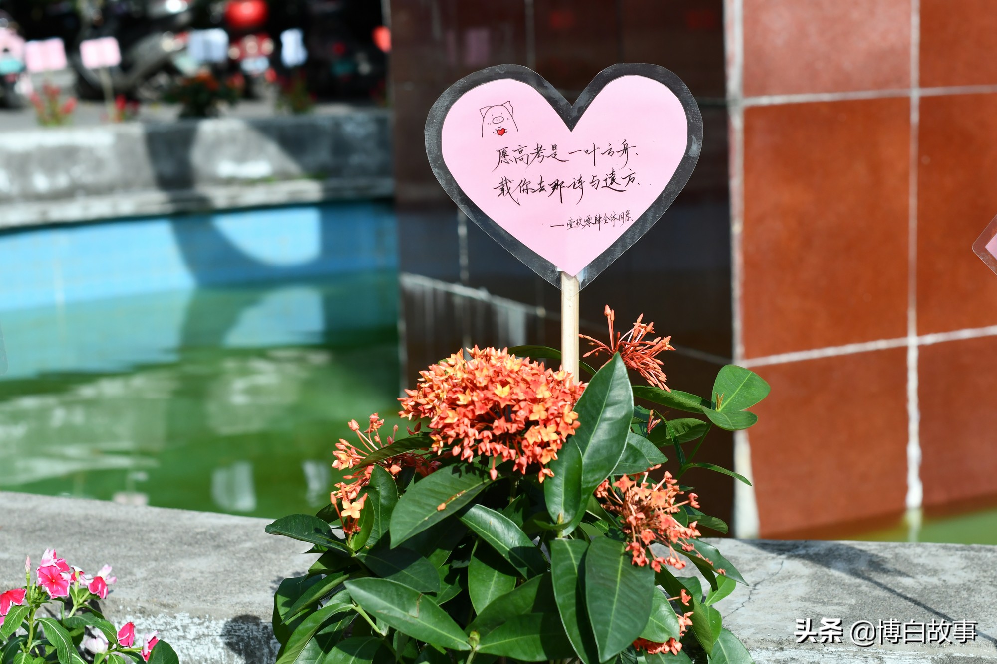 广西博白县中学做了大量工作，确保考生以最佳状态参加高考