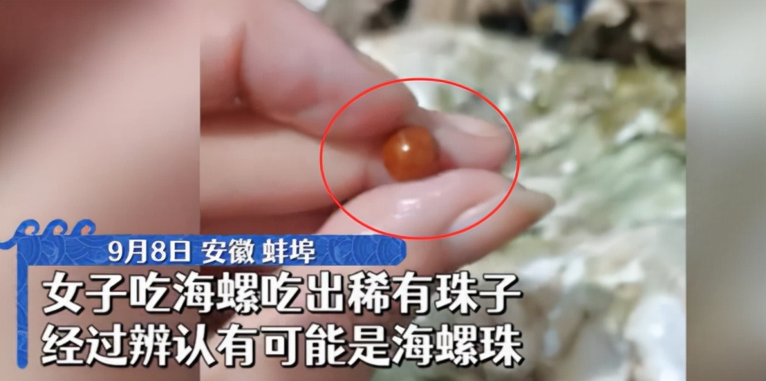 安徽女子吃到“天价”海螺珠，概率仅0.002%，卖5万块钱亏不亏？