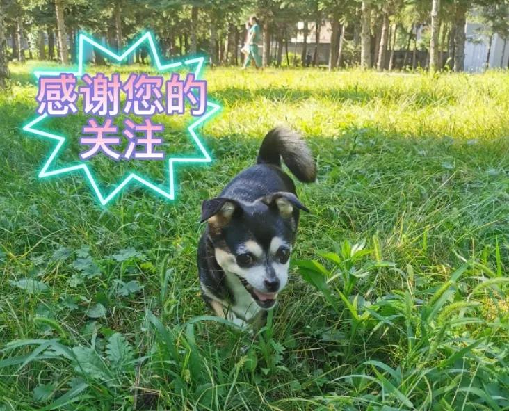 十本近期最火网络小说，都在百万字以上，精彩好看书荒必备（上）