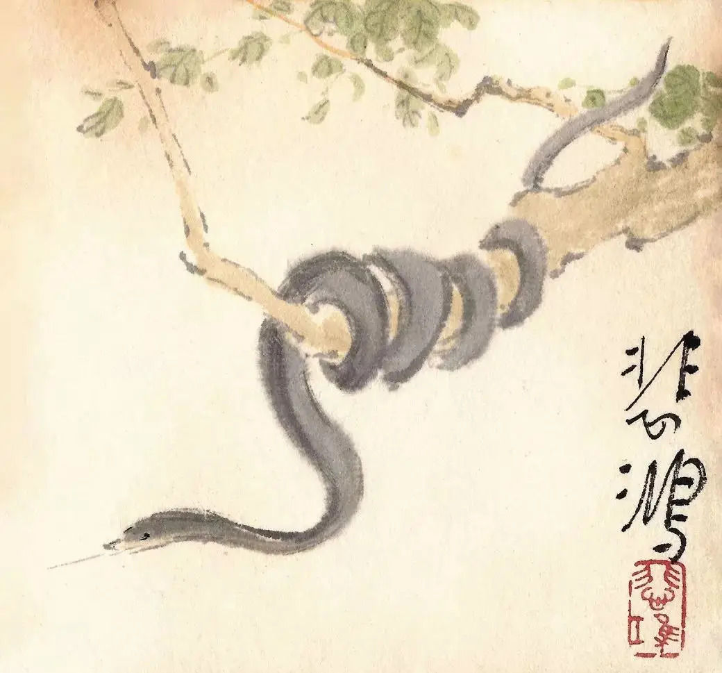 哪些毒蛇被称为“烂肉王”，被五步蛇咬伤后为什么会七窍流血？