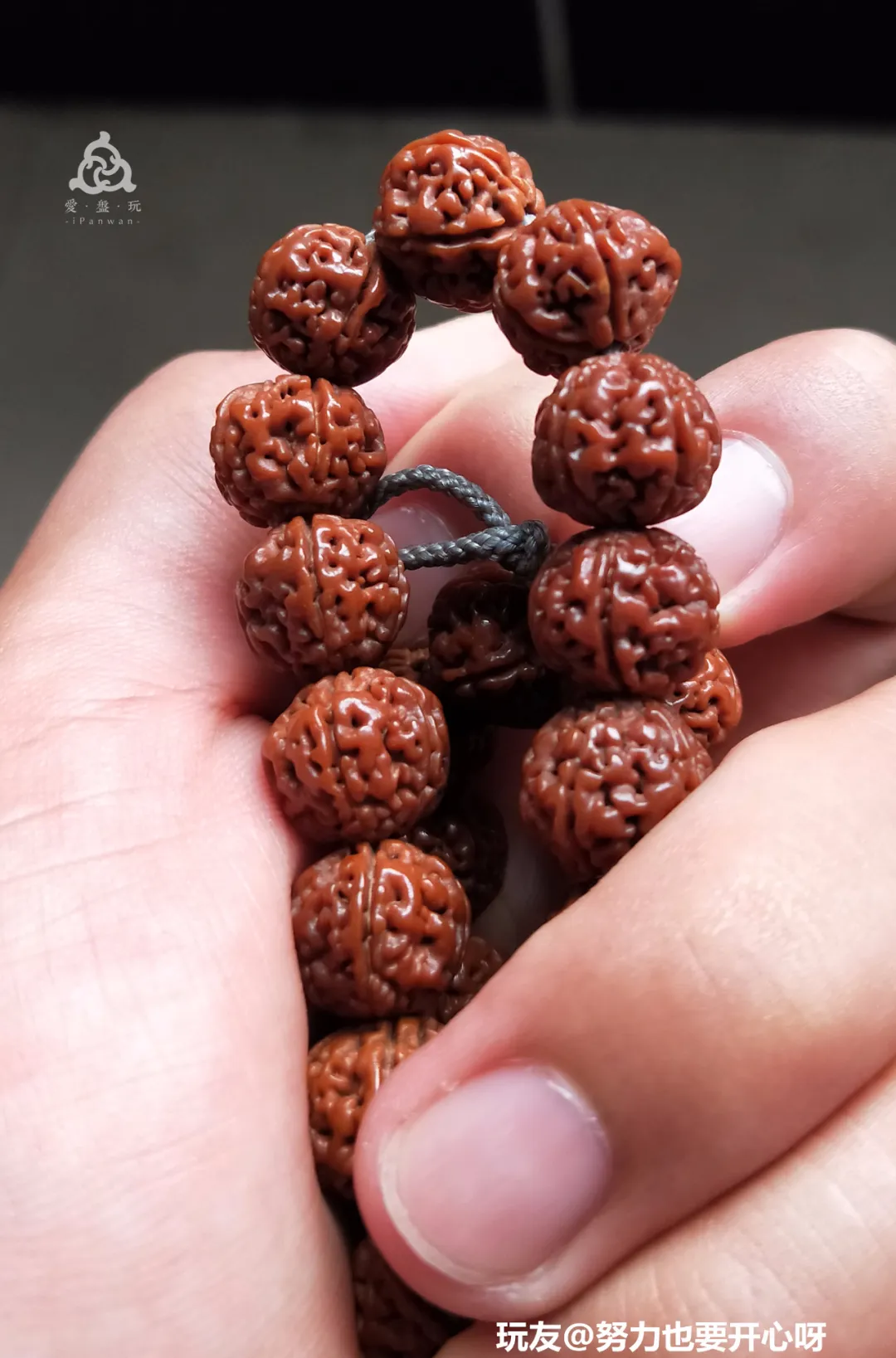 金刚多少钱(金刚砂多少钱一平米)-我的快乐小窝