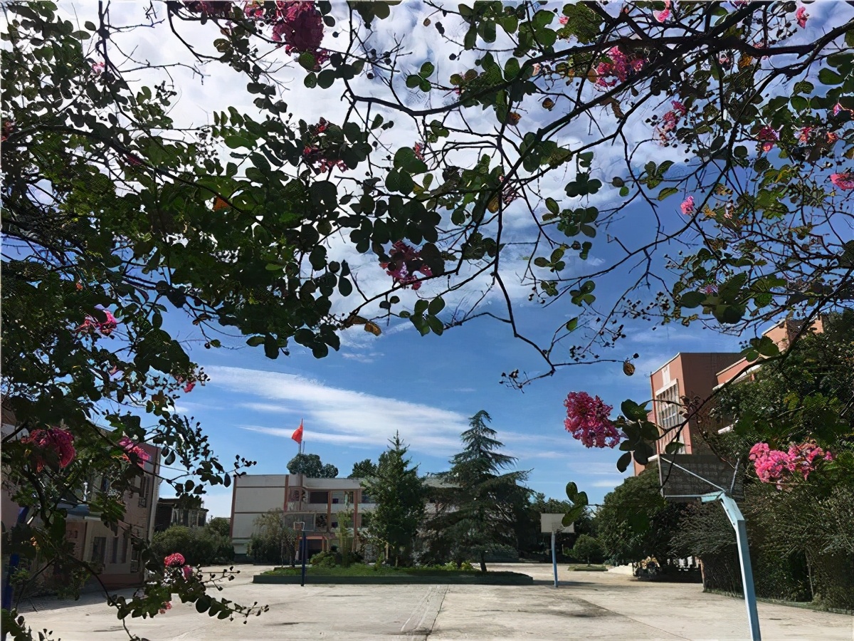 小学生优秀作文赏析：《春天的校园》三篇