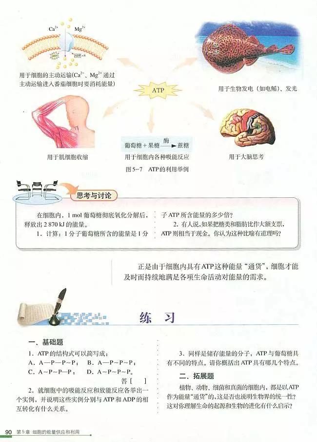 人教版高中生物（必修1）电子课本（高清版）
