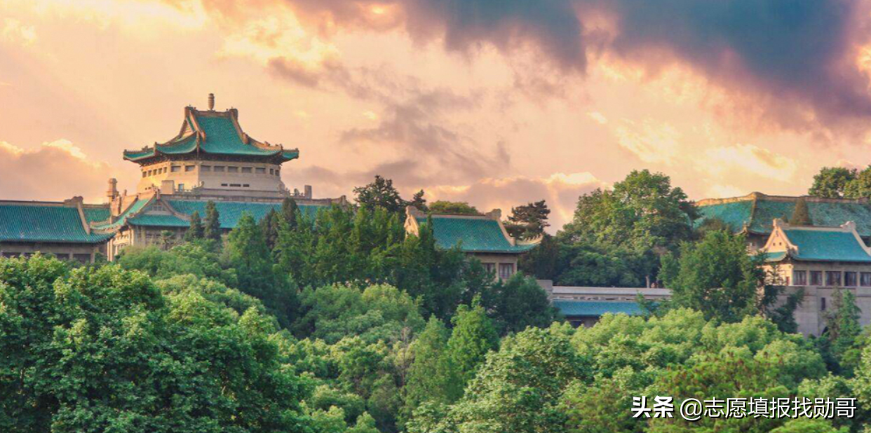“武汉双雄”毕业生就业大比拼：升学率高达57%，500强就业抢着要