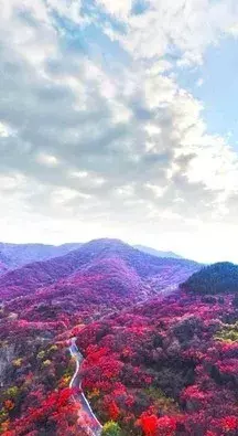最美不过枫叶红,6个红枫圣地"打包"给你,错过悔一年