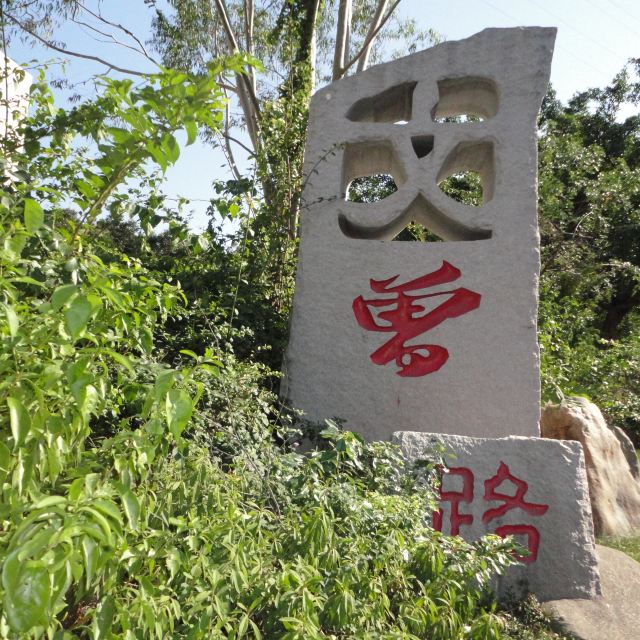 厦门怪坡在哪里(打卡厦门文曾路怪坡，东西从坡底滚到坡顶，其实是眼睛欺骗了自己)