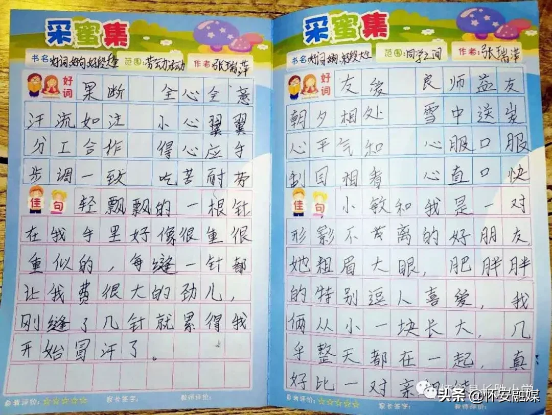 怀安县柴沟堡镇长胜小学网上秀学生假期作业