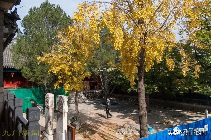 30年后重游云居寺（下）