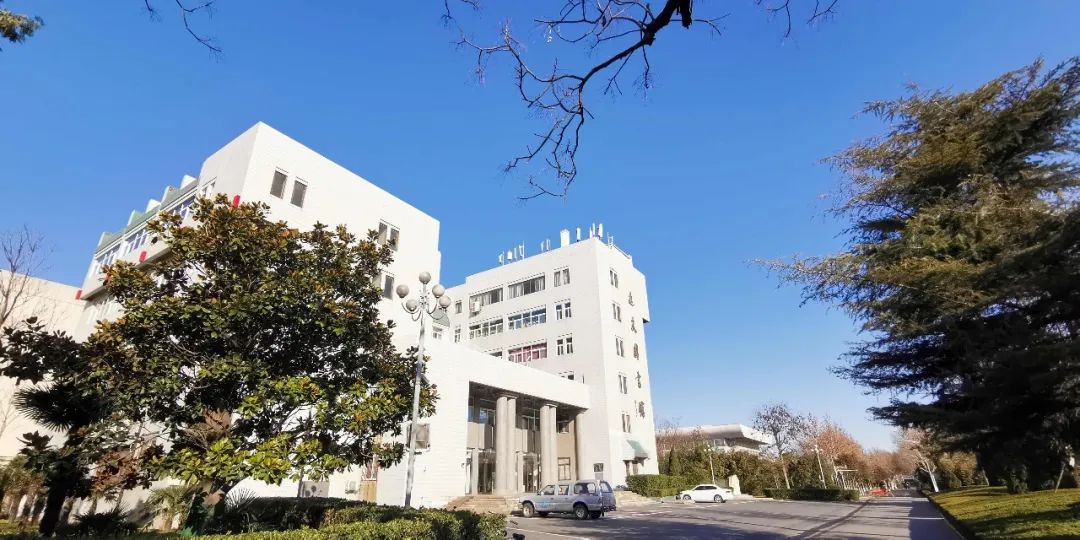 开始报名！河南大学2020运动训练、武术与民族传统体育专业招生简章公布！