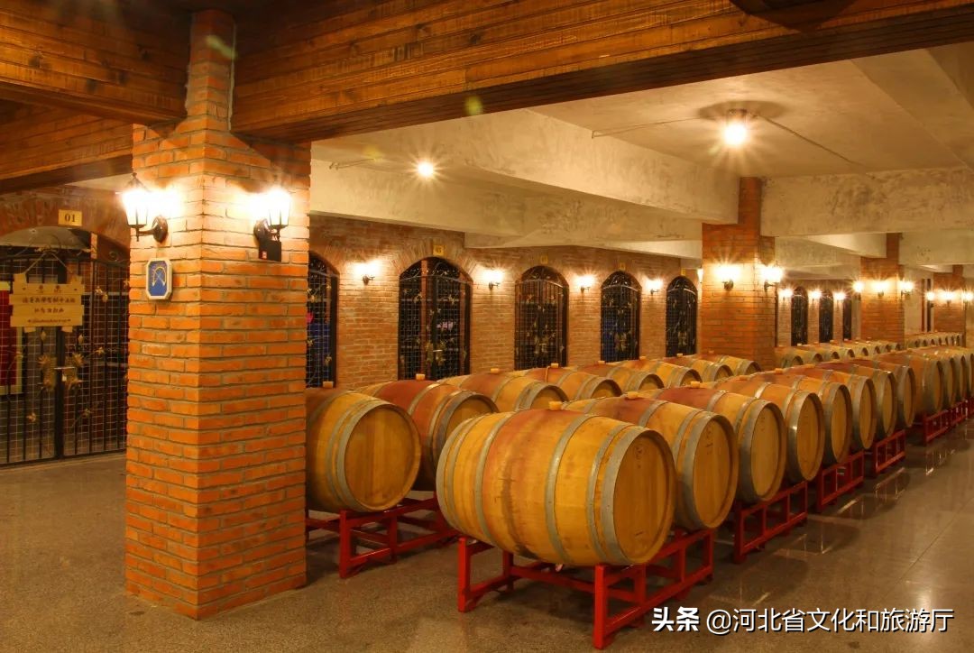 怀来酒庄_河北怀来长城葡萄酒-上犹电脑信息网