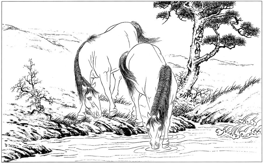 马高清白描线稿图片下载19幅