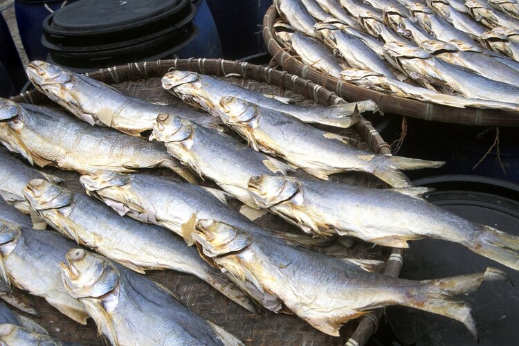 世卫组织公布十大致癌食物清单