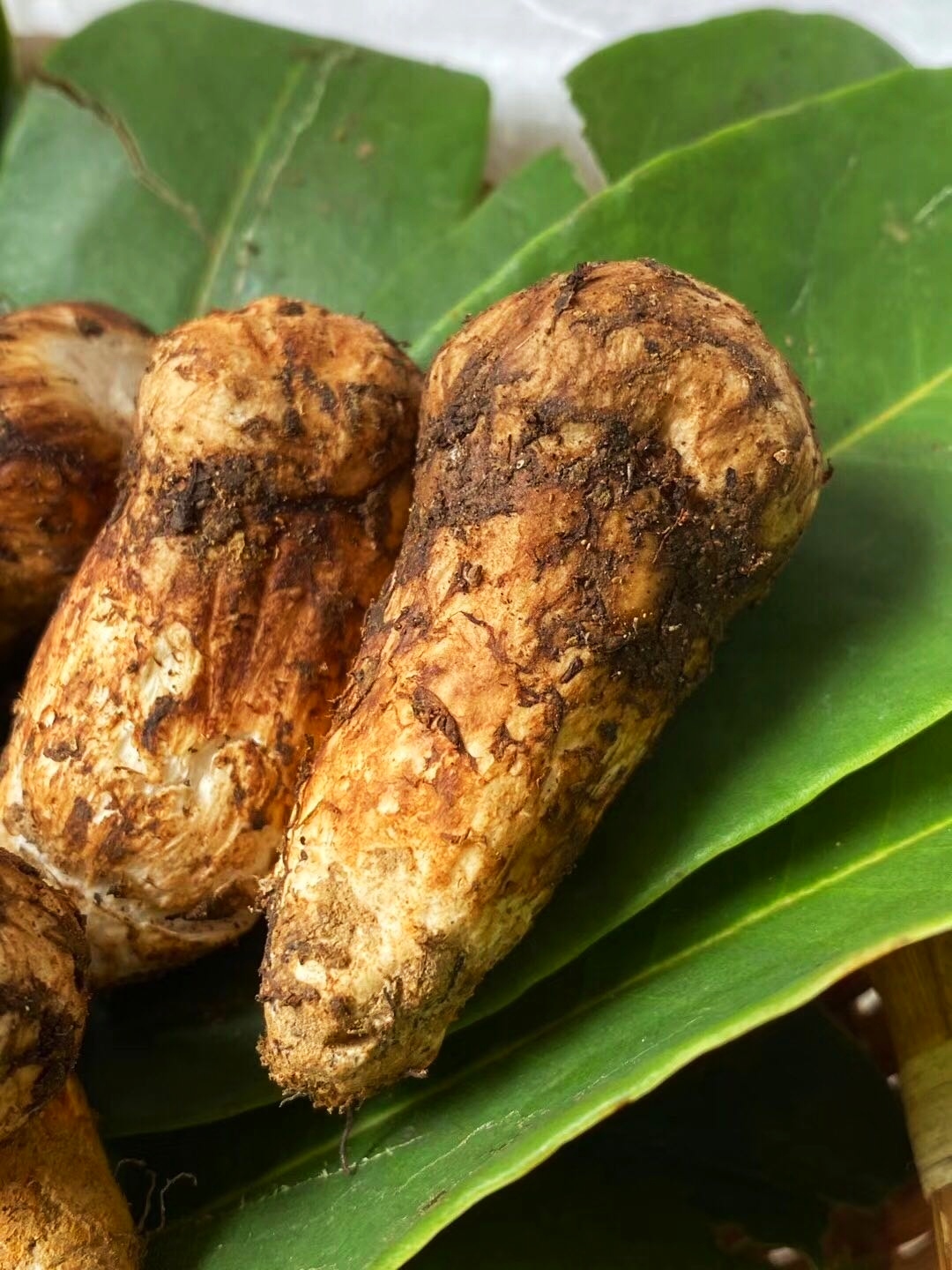 松茸要不要水洗?怎么样保存新鲜又不容易坏