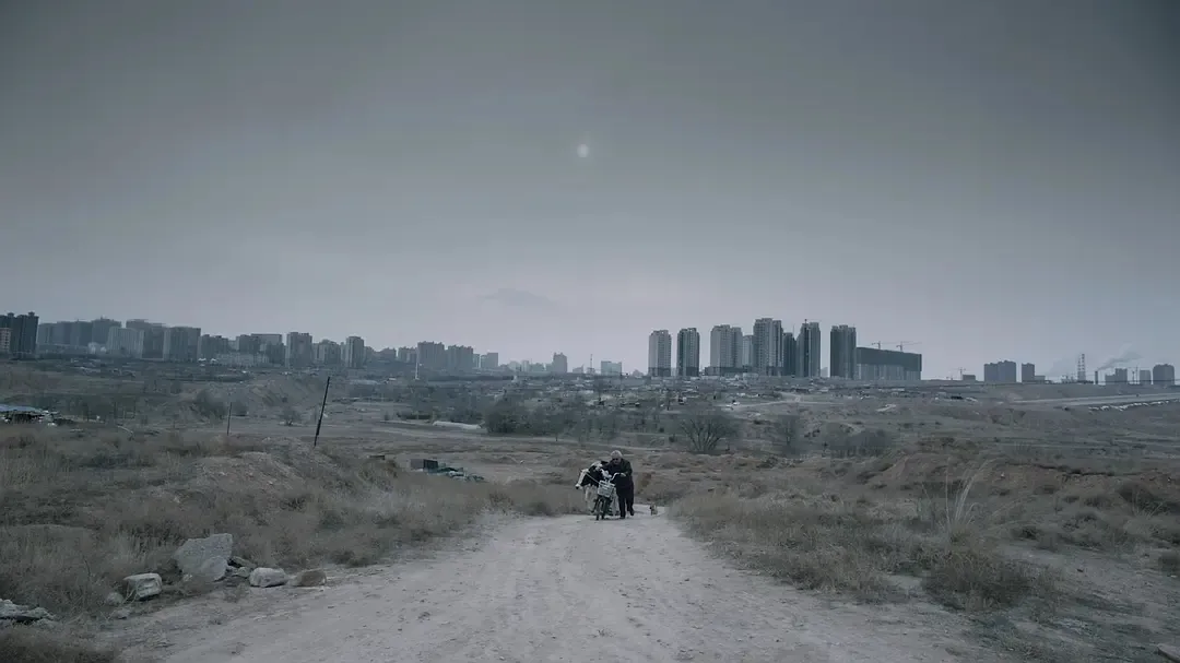 6对好友相继离婚,他拍下最生猛国产片:没有一对夫妻能平静看完