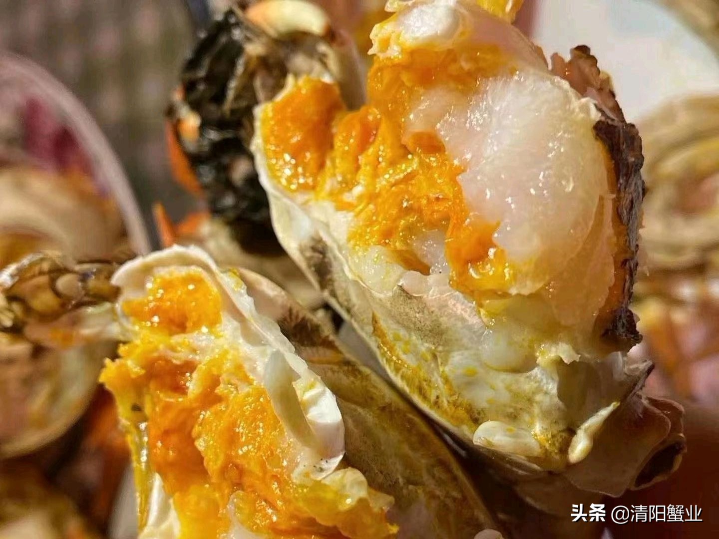 大闸蟹分公母,风味各不相同,那么问题来了,到底母龈贸阅?