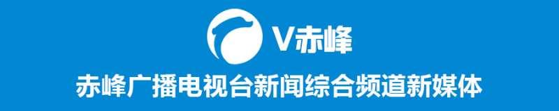 赤峰市车管所网站,赤峰市车管所官网