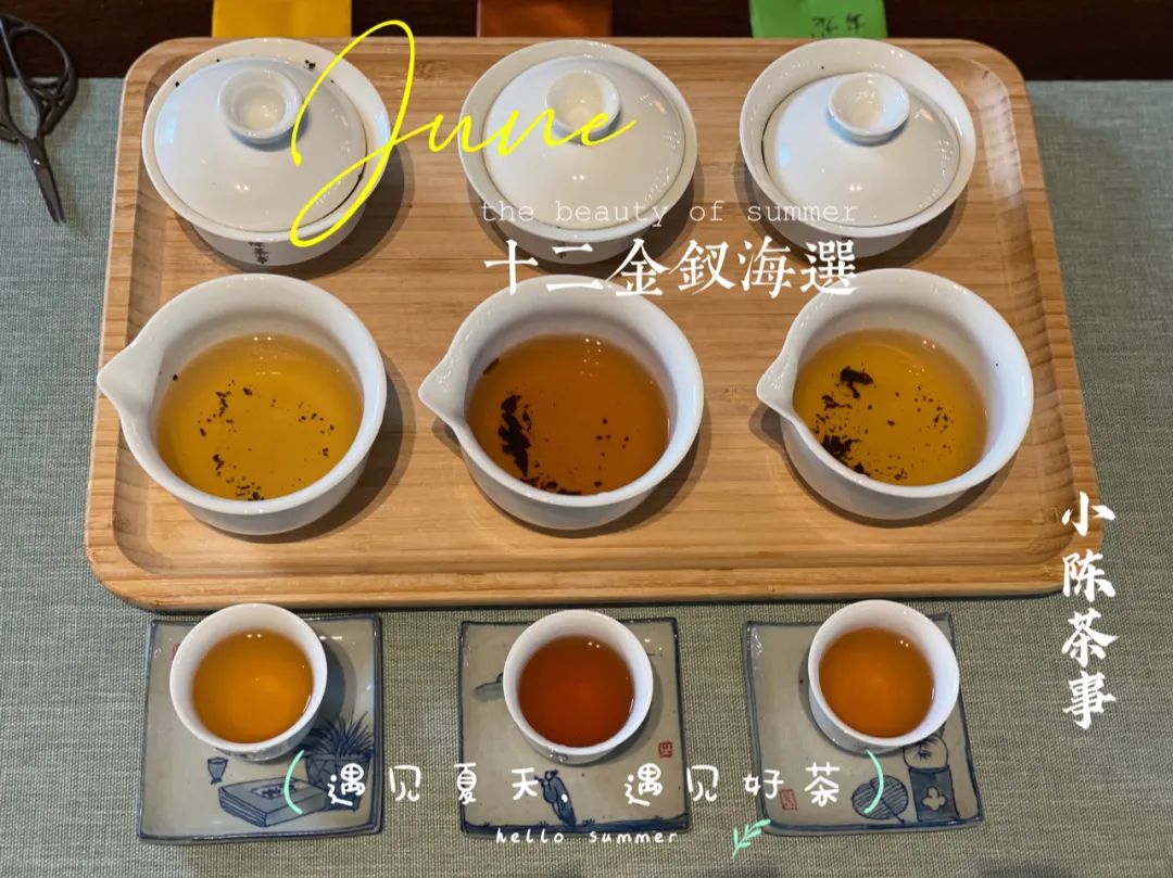 武夷岩茶十二金钗，这一次，我们准备了哪些好茶等着你？