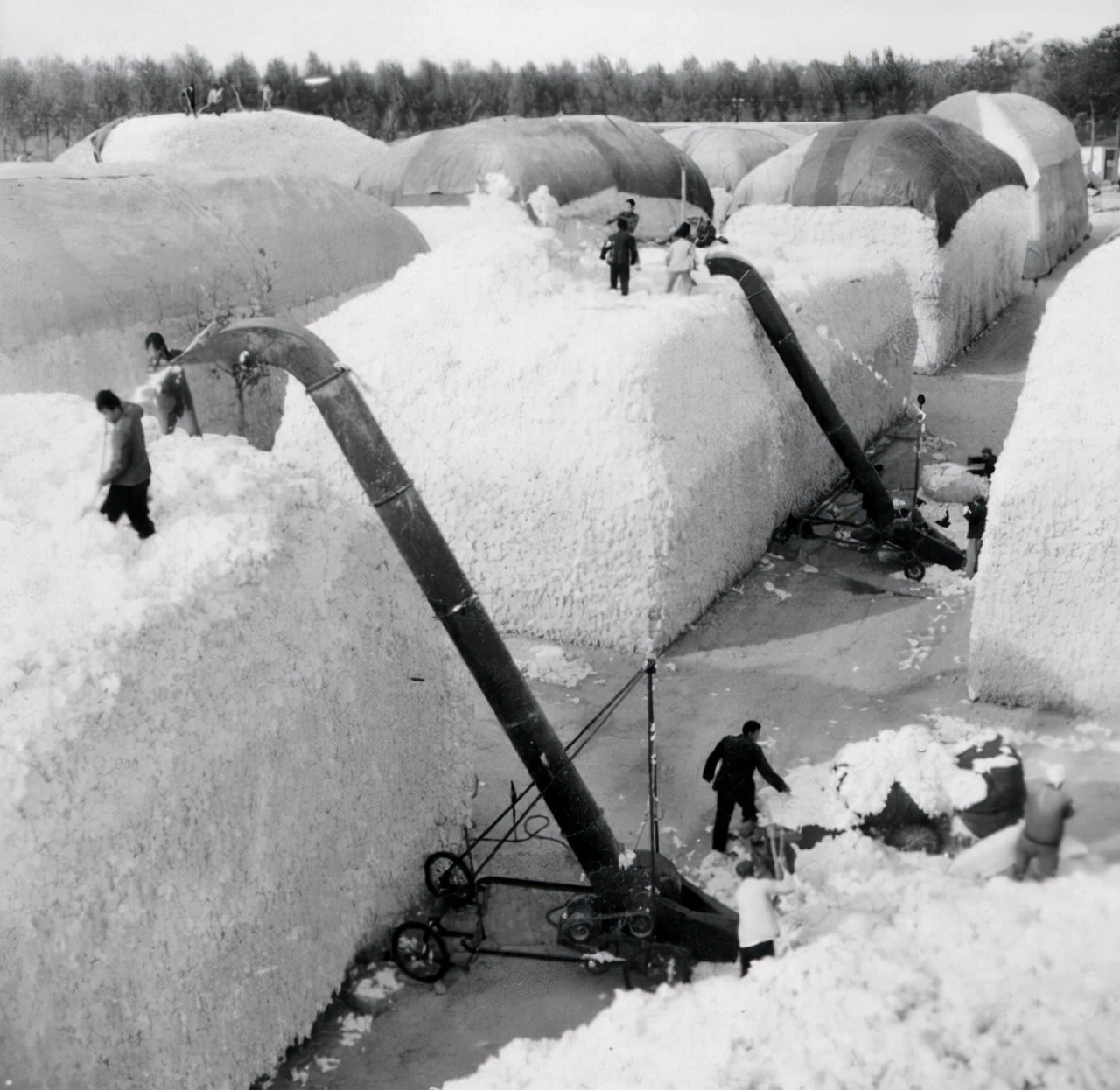 一组聊城老照片,瞬间带你回到过去