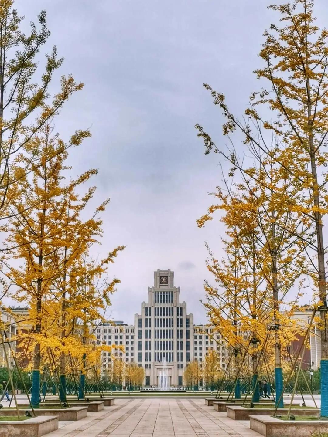 新增20个!西安交大40个专业获批国家级一流本科专业建设点