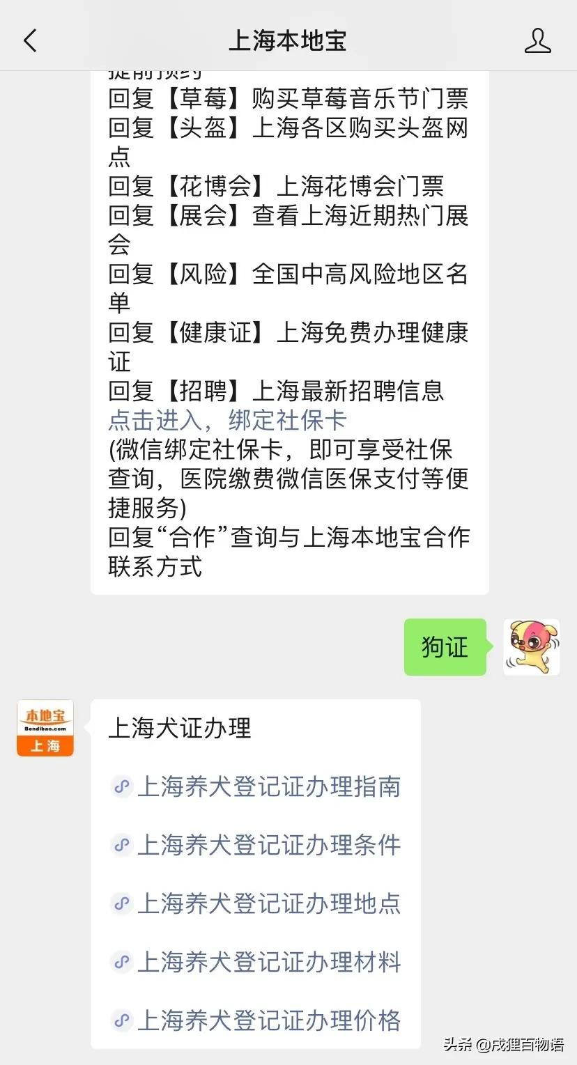 养狗人注意!这条规定与你息息相关