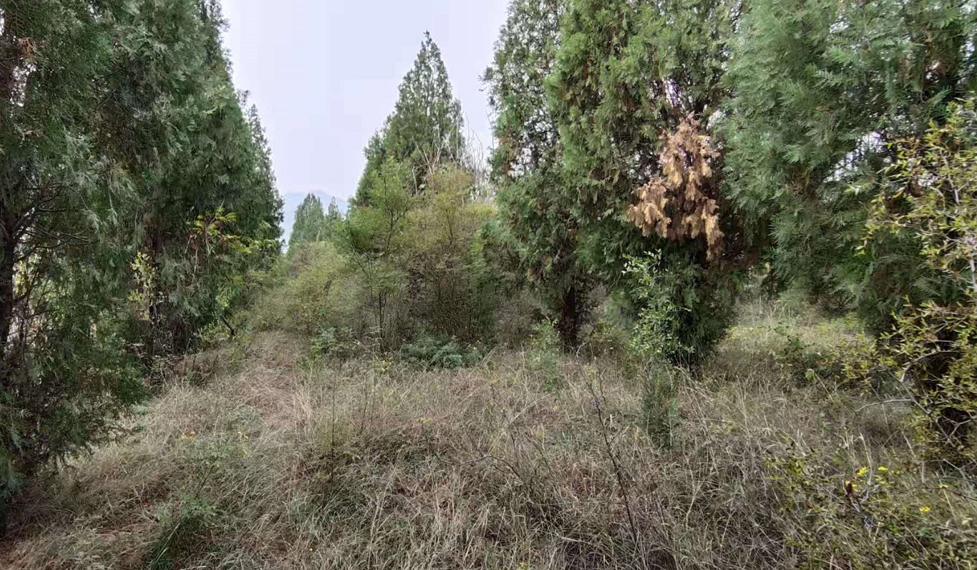 河北石家庄北部山区300亩农庄对外低价流转，水库旁有房子果园